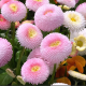 ERQJxMHbJW